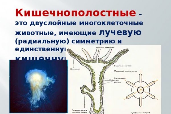 Актуальная ссылка на кракен в тор 2krnmarket