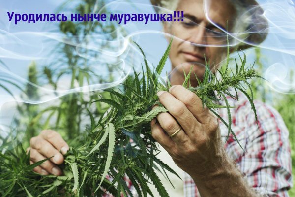 Кракен онион