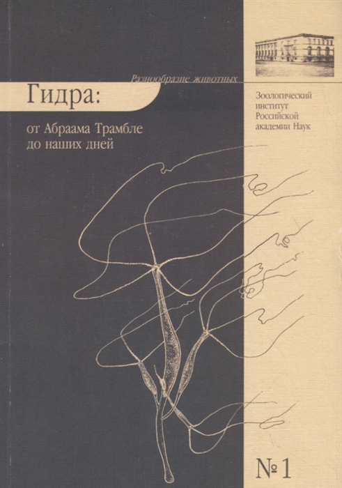 Кракен через тор браузер